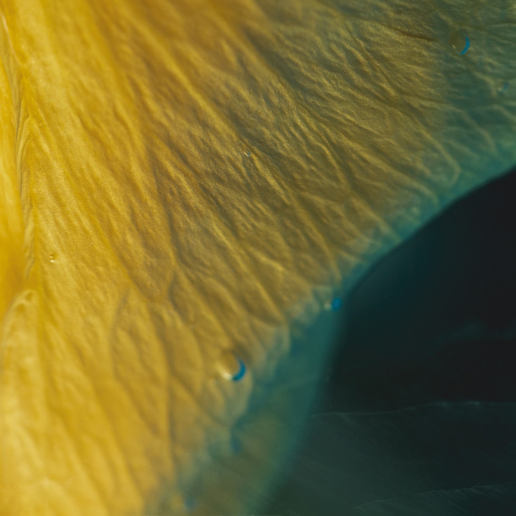 Environnement Header