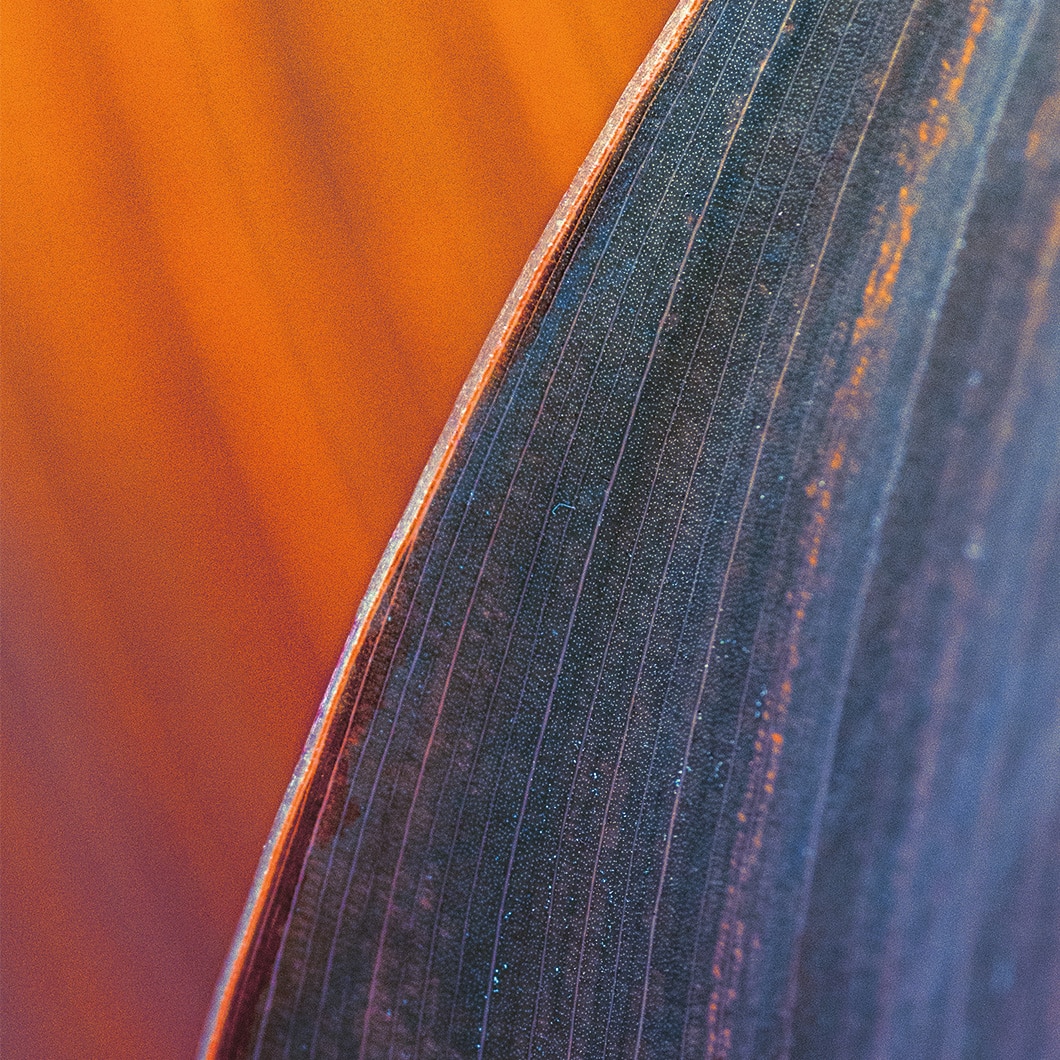 Servirpatients Header